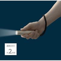 ミニアルミライト　シャンパンゴールドＢＫＡ４０ＣＧ