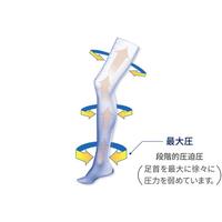 ライトウェアソックスＬクロ　０２０－００