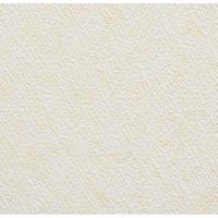 天井にも壁にも貼れる壁紙　４６×５　ＡＰＧ－２１