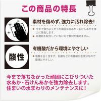 復活洗浄剤　水栓金具・蛇口クリーナー１００ＭＬ
