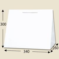 Ｔ型チャームバッグ　Ｗ３　晒白無地　１０セット