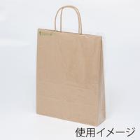 バイオレイニーポリ２９－４１（ＭＳ－１用）１０