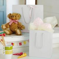 プレーンＣＢ　２才　スノーホワイト　１０セット