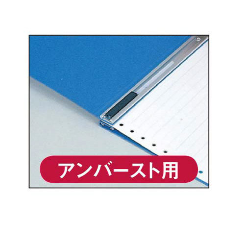 データファイルＡ２３１×３０７アンバースト用