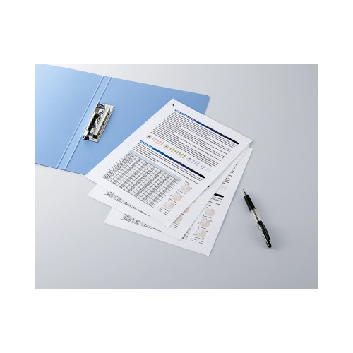 ＩＪＰ用紙　ＳＦＧ　エコノミー　Ａ４　１００枚入