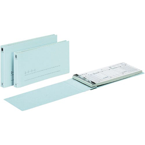 伝票用フラットファイル別寸１１６×２０５ｍｍ１０冊