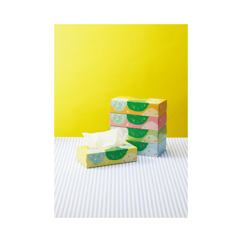 ボックスティシューバード柄２００組×６０箱１－４梱