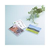 ＩＪＰはがき用紙　光沢紙（染料・顔料）　３０枚