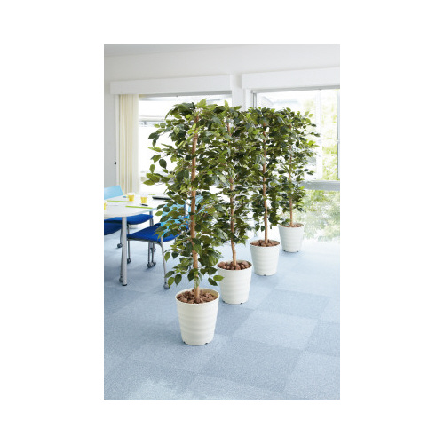 人工植物　ベンジャミン　高さ１７００　光触媒