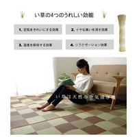 ブロック　グリーン　江戸間４．５畳