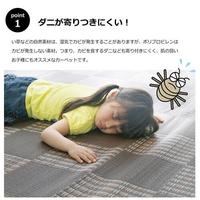 ウィード　ブラック　江戸間２畳