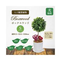人工観葉植物ボックスウッドＳサイズ