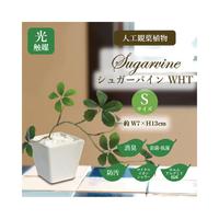 人工観葉植物シュガーバインＷＨＴＳサイズ