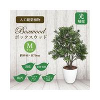 人工観葉植物ボックスウッドＭサイズ