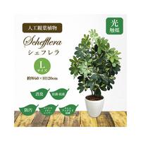 人工観葉植物シェフレラＬサイズ