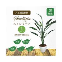人工観葉植物ストレリチアＬサイズ
