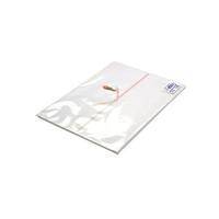 のし紙　Ａ３判　五本結切　山