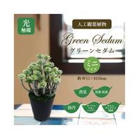 人工観葉植物グリーンセダムミニサイズ