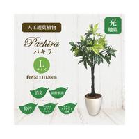 人工観葉植物パキラＬサイズ