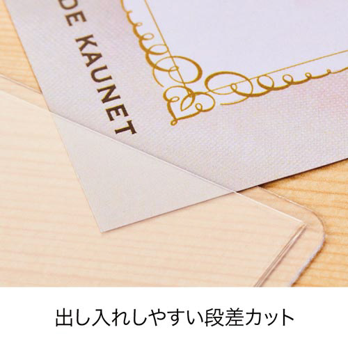 出し入れ簡単カードケース　ハードタイプＡ５