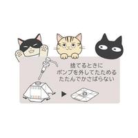 手指消毒剤カネパスエコ　６００ｍｌ　付替え用