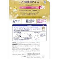 バウンシアＢＳ　プレミアムモイスト　替３４０ＭＬ