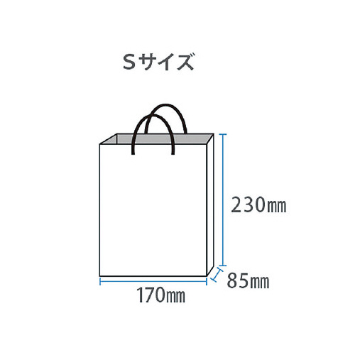 ペーパーバッグＳピンク１０枚入
