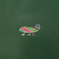 ノート　Ｂ６方眼　ワンポイント　カメレオン　３冊