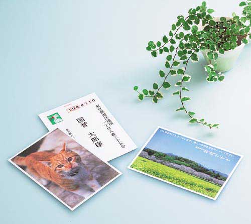 ＩＪＰ用はがきサイズ光沢　郵便番号枠なし　３０枚