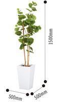 人工植物　シーグレープ鉢ホワイト高さ１５００光触媒