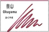 万年筆用ボトルインク　四季織十六夜の夢　奥山