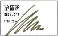 万年筆用ボトルインク　四季織十六夜の夢　利休茶