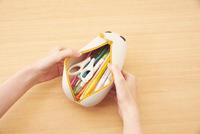 寝ころびペンポーチ　ＢＩＧ　シバイヌ