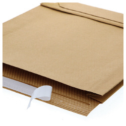 宅配袋　クッション付きレコード用　未晒１０枚Ｘ１０