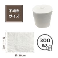 ＧＴ－２　重曹電解クリーナー業務用　詰替