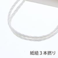 Ｔ型チャームバッグ　Ｗ３　晒白無地　１０セット