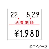 ハンドラベラーＤＵＯ－２１６　ＳＴ１０ＮＳＢ１２Ｎ