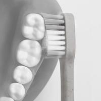 ｆｉｔハブラシ　カーブ　ホワイト　８セット