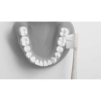 ｆｉｔハブラシ　先細　ホワイト　８セット