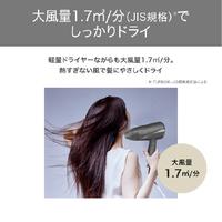 ヘアドライヤー　プロテクトイオン　軽量　グレー