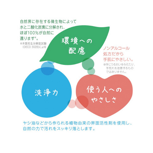 フロッシュ食器用洗剤　アロエヴェラ　本体３００ｍｌ