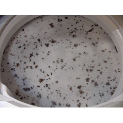 洗たく槽カビトルデス　５回分