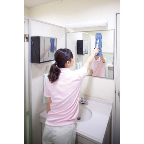 ＥＦウィンドクリーナー　ハンディ