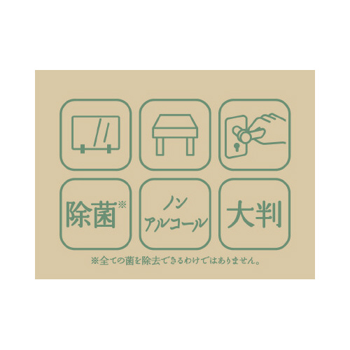 ノンアルコール除菌ウェットタオル大判　３０枚　２個