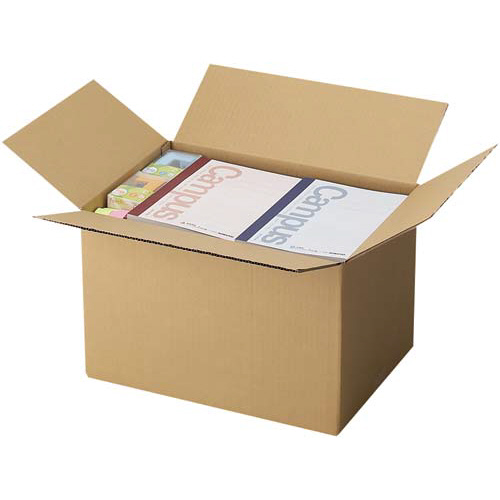 無地ダンボール厚手　Ｎｏ．４－２（底面ＬＬ）１０枚