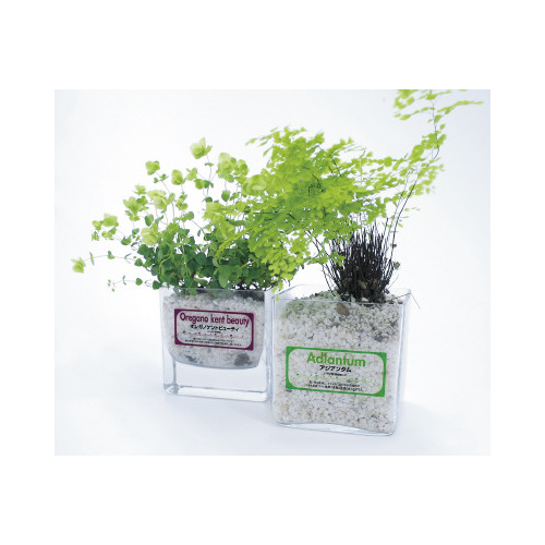 屋外にも使えるフィルムラベル　透明　１面　１０枚