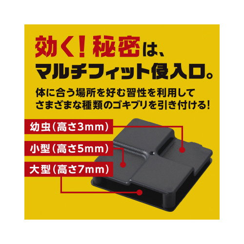 ブラックキャップ１年間効く！スキマ用　１６個入×４