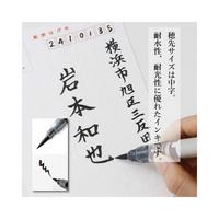 墨液ぺんてる筆　中字　黒　１０本