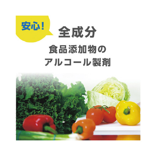 アルペットＮＶ　１０Ｌ　ＢＩＢ※