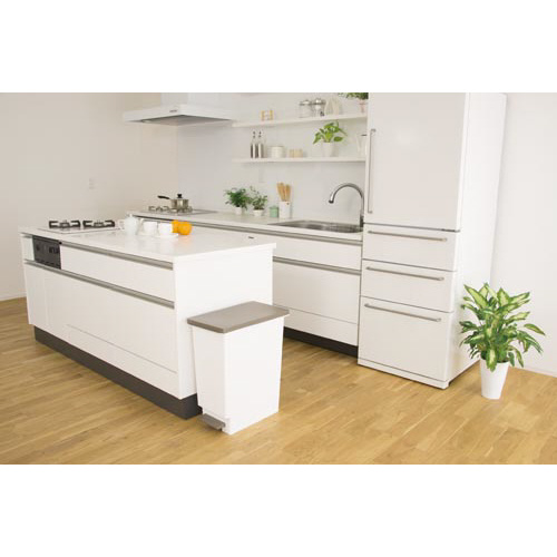 ネオカラー分別　スリムペダル　４５　ブラウン×８